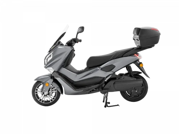 Efun Tiger Gris