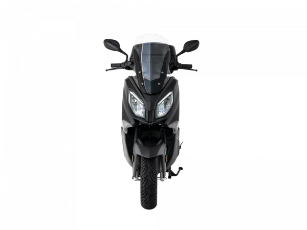 Efun Tiger Negra