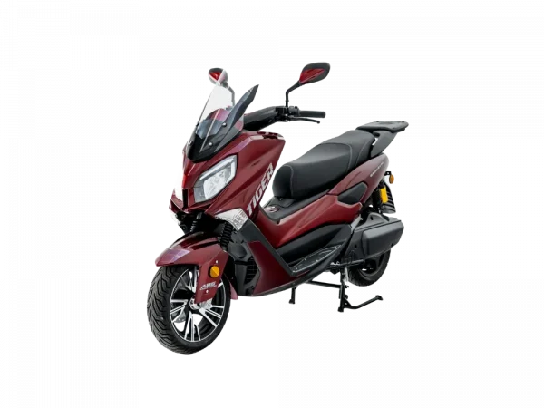 Efun Tiger Burdeos