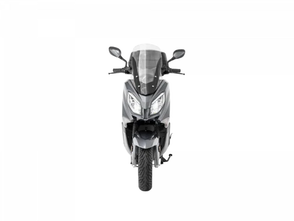 Efun Tiger Gris