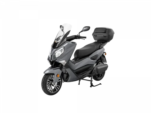 Efun Tiger Gris