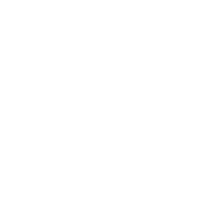silence moto electrica