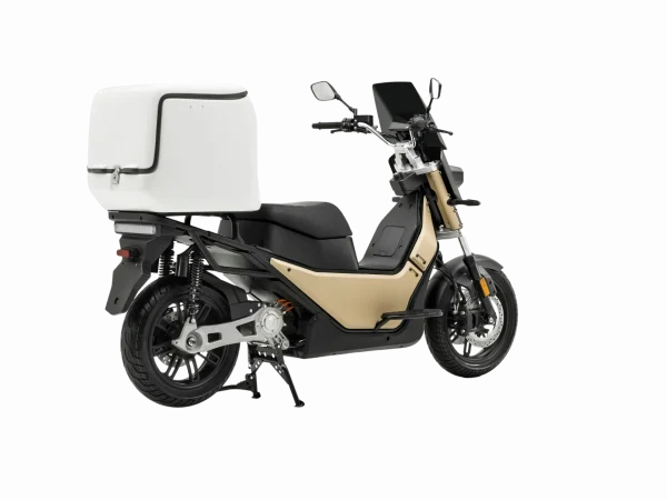 CARGO TRAS - Editada